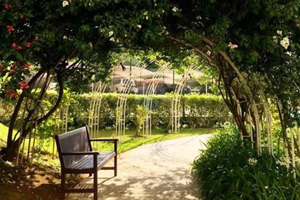 Apartamento - Alugar - Mogi das Cruzes , São Paulo - 41 - 630281041-135