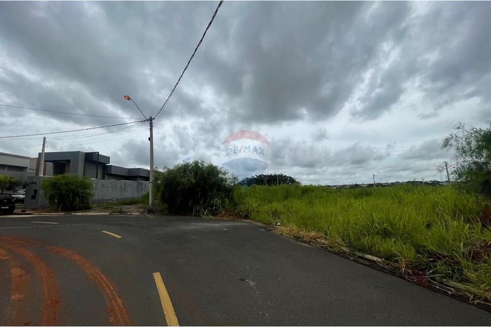 Terreno - Venda - Bady Bassitt , São Paulo - WhatsApp Image 2025-01-27 at 12.48.52 (12).jpeg - 631481002-88