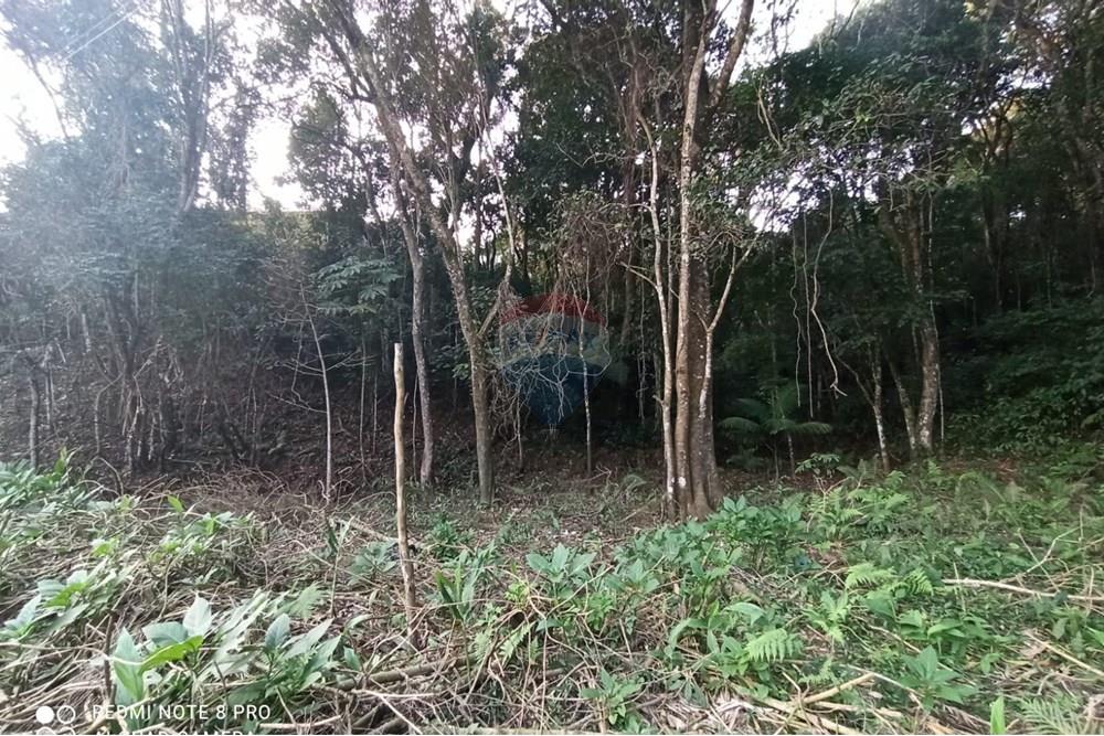 Terreno - Venda - Mairiporã , São Paulo - WhatsApp Image 2025-07-14 at 23.09.29 (1).jpeg - 631361025-36