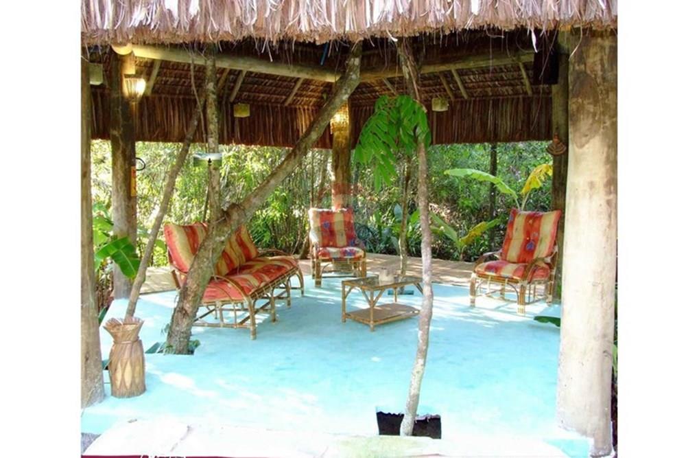 Ponto Comercial/ Loja - Venda - São Sebastião , São Paulo - WhatsApp Image 2025-08-27 at 10.25.18 (1).jpeg - 631461044-149