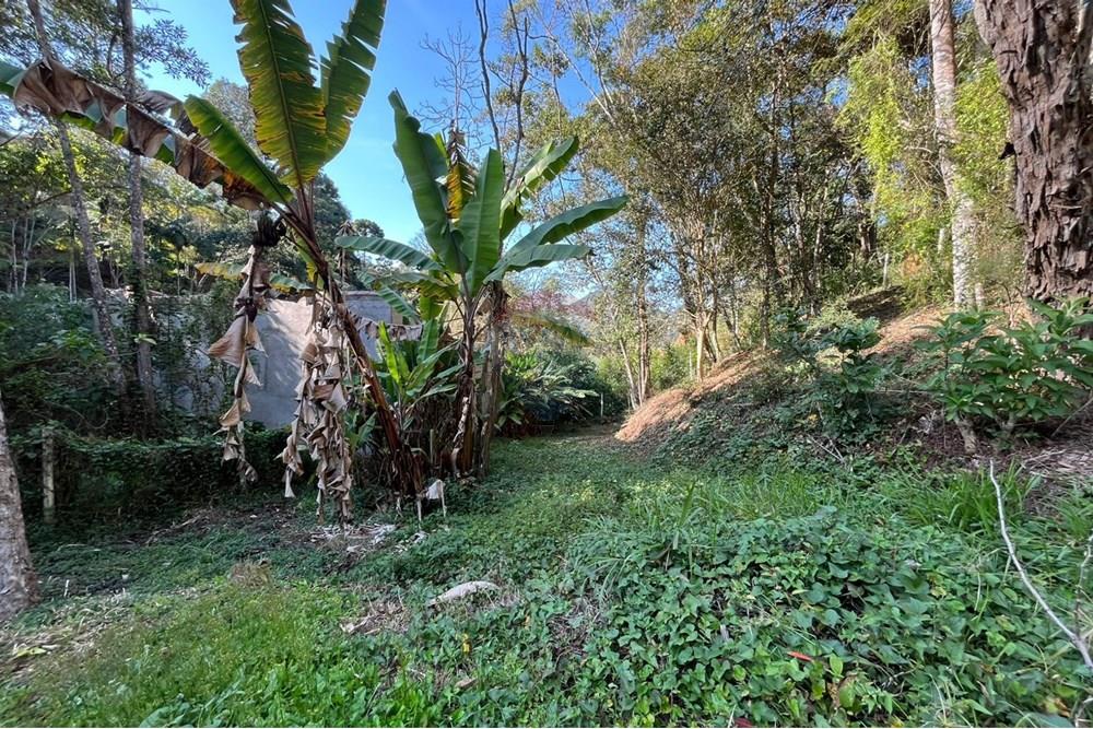 Terreno - Venda - Teresópolis , Rio de Janeiro - WhatsApp Image 2025-09-25 at 16.12.54 (4).jpeg - 630191097-3
