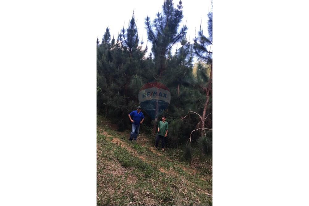 Chácara / Sítio / Fazenda - Venda - Barra do Chapéu , São Paulo - WhatsApp Image 2025-04-11 at 15.16.26.jpeg - 630241005-68