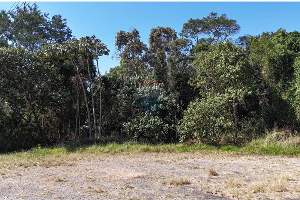 Terreno - Venda - Mogi das Cruzes , São Paulo - DJI_20250911142402_0678_D.JPG - 631251050-25