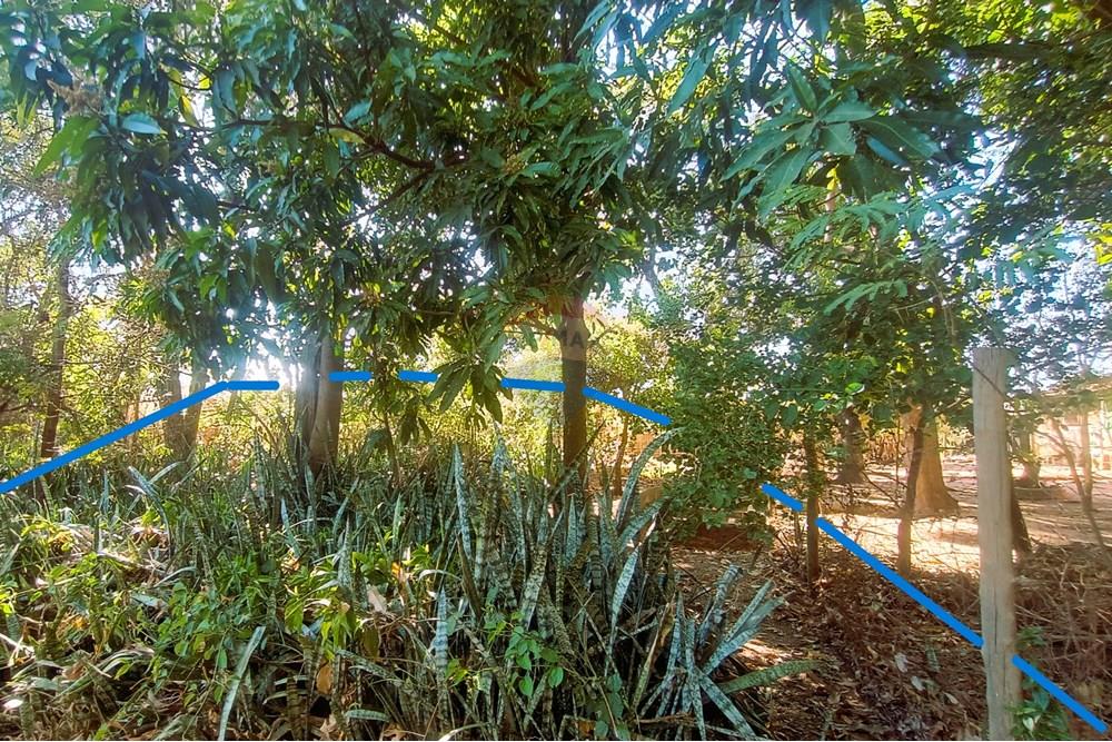 Terreno - Venda - Lins , São Paulo - Terreno Lote 04 Fundo.JPG - 631011048-3