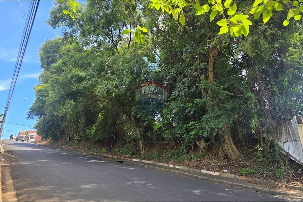 Terreno - Venda - Botucatu , São Paulo - 20260214_113709.jpg - 630481020-61