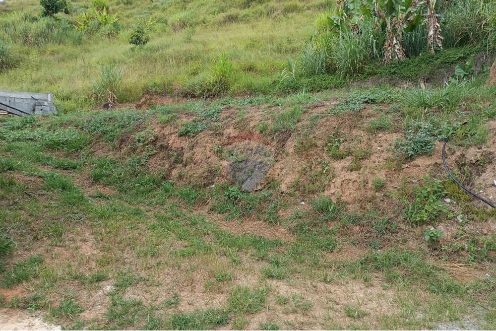 Terreno - Venda - Bom Jardim , Rio de Janeiro - Imagem do WhatsApp de 2025-03-13 à(s) 13.01.42_e3bcf1a4.jpg - 630171008-17