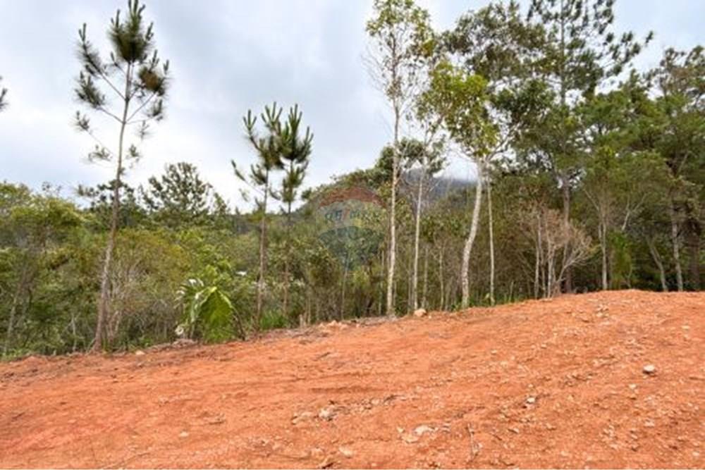 Terreno - Venda - Petrópolis , Rio de Janeiro - 15.jpg - 631611002-13