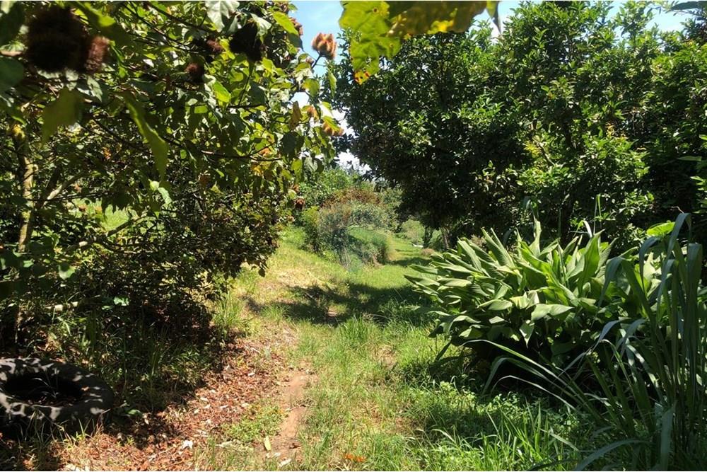 Chácara / Sítio / Fazenda - Venda - Santa Isabel , São Paulo - WhatsApp Image 2025-02-20 at 14.04.34 (9).jpeg - 631491020-25