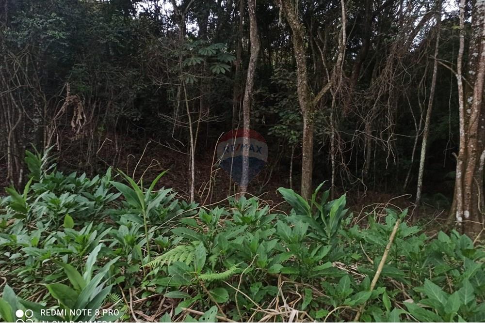 Terreno - Venda - Mairiporã , São Paulo - WhatsApp Image 2025-08-02 at 00.48.43.jpeg - 631361025-36