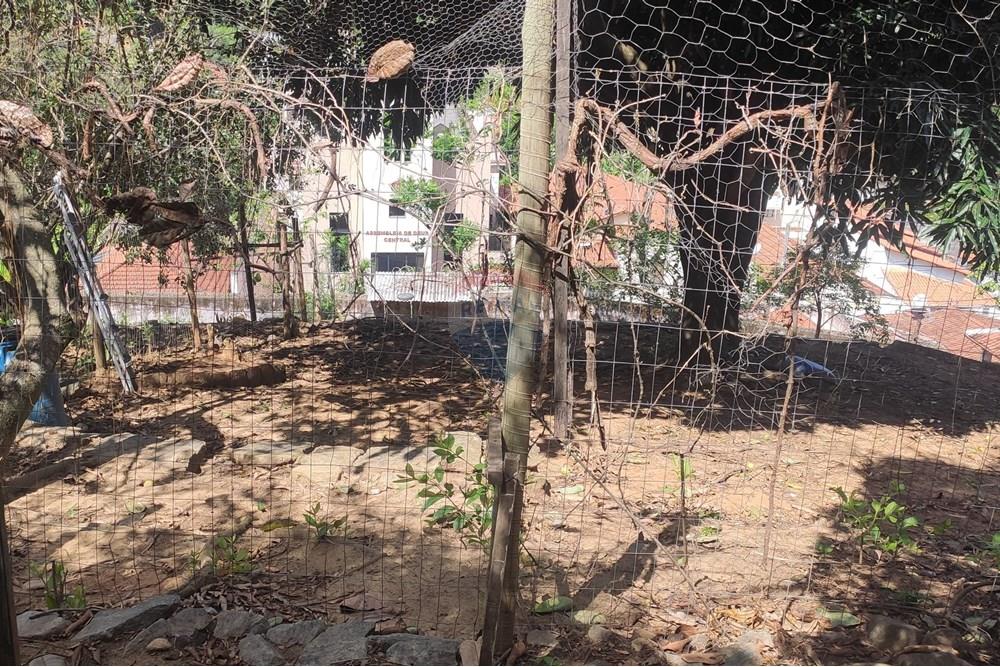 Terreno - Venda - Paraíba do Sul , Rio de Janeiro - IMG_20251106_140319.jpg - 631411001-102