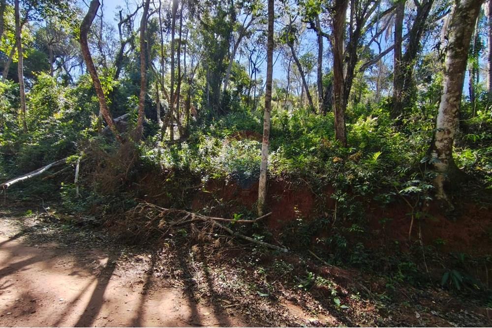 Terreno - Venda - Mairiporã , São Paulo - Terreno rafael 3.jpg - 631361059-12