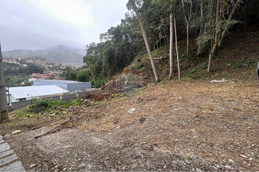Terreno - Venda - Nova Friburgo , Rio de Janeiro - WhatsApp Image 2025-06-24 at 21.43.49.jpeg - 630551055-90