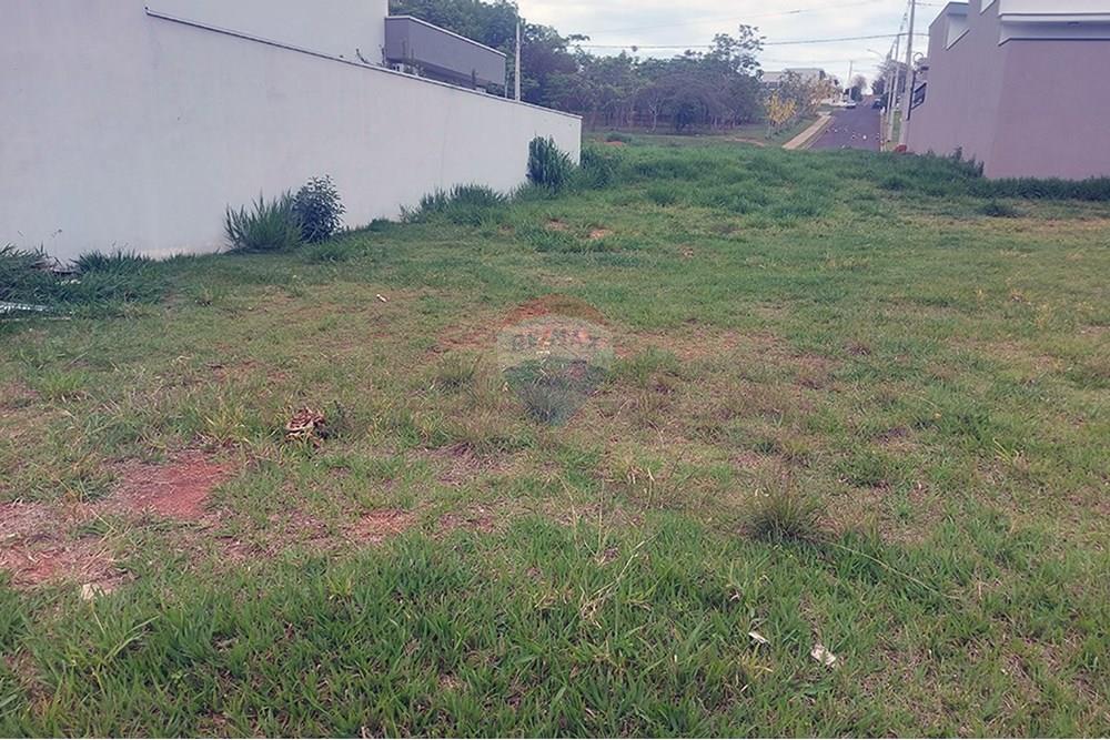 Terreno - Venda - Álvares Machado , São Paulo - 20251028_123747.jpg - 630861066-9