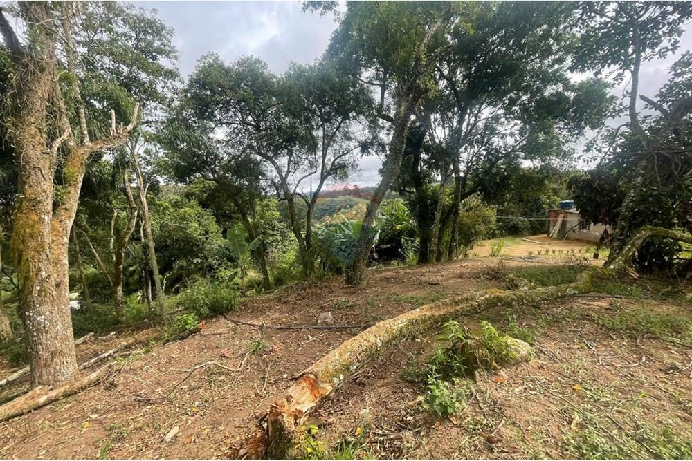 Chácara à venda com 2 quartos, 15340m² - Foto 29