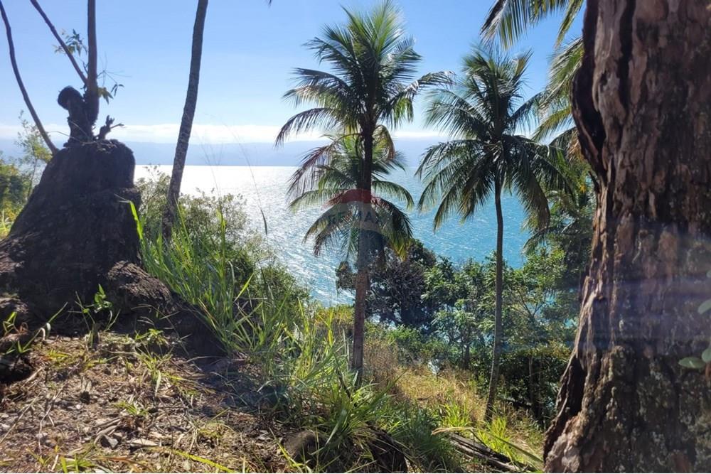 Terreno - Venda - Ilhabela , São Paulo - WhatsApp Image 2025-08-17 at 14.01.46 (1).jpeg - 690881023-41