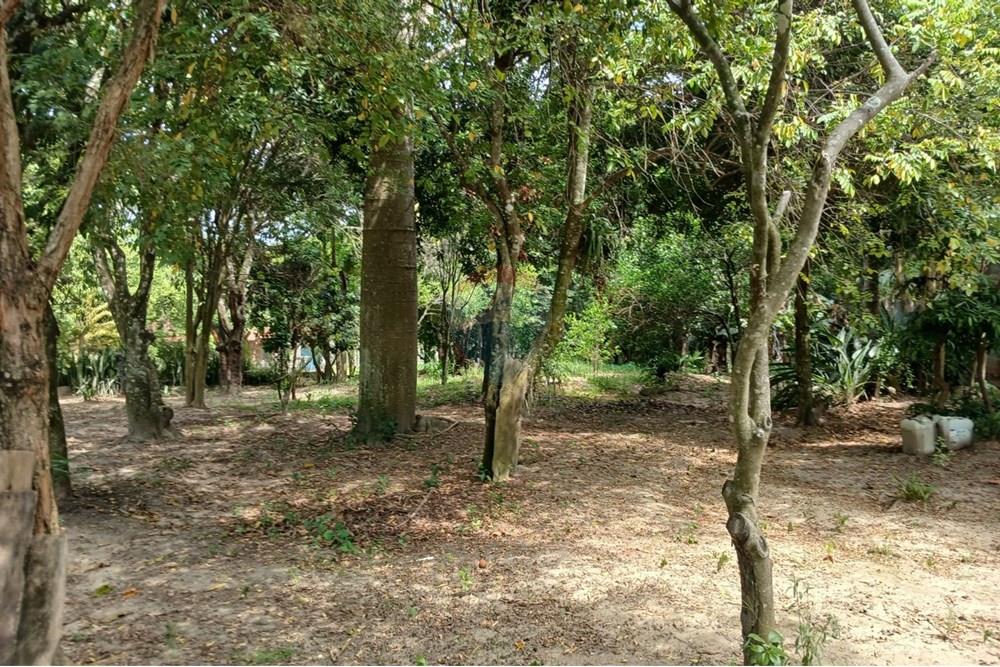 Chácara / Sítio / Fazenda - Venda - Salto de Pirapora , São Paulo - 236.jpeg - 631181053-21