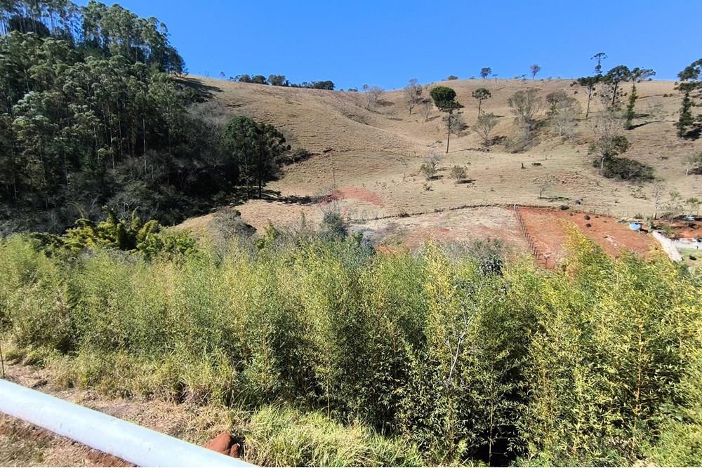 Terreno - Venda - Santo Antônio do Pinhal , São Paulo - IMG_20250731_114934.jpg - 631501001-83