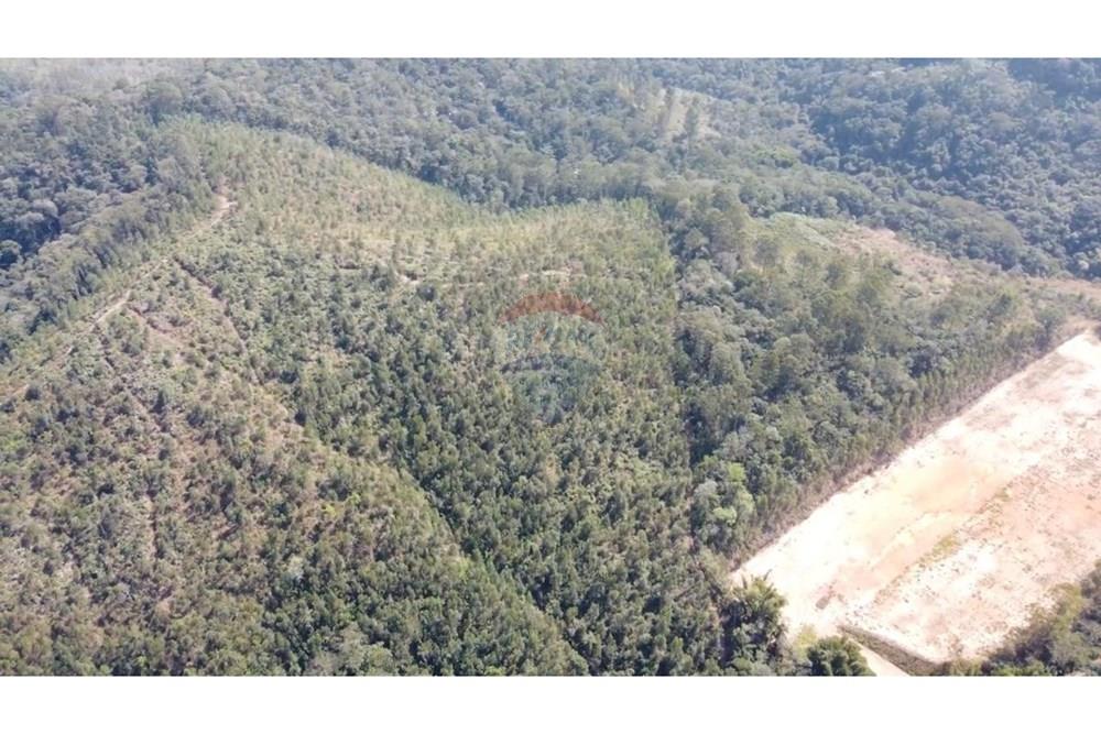 Terreno - Venda - Franco da Rocha , São Paulo - WhatsApp Image 2024-09-18 at 11.17.01 (9).jpeg - 630251069-117