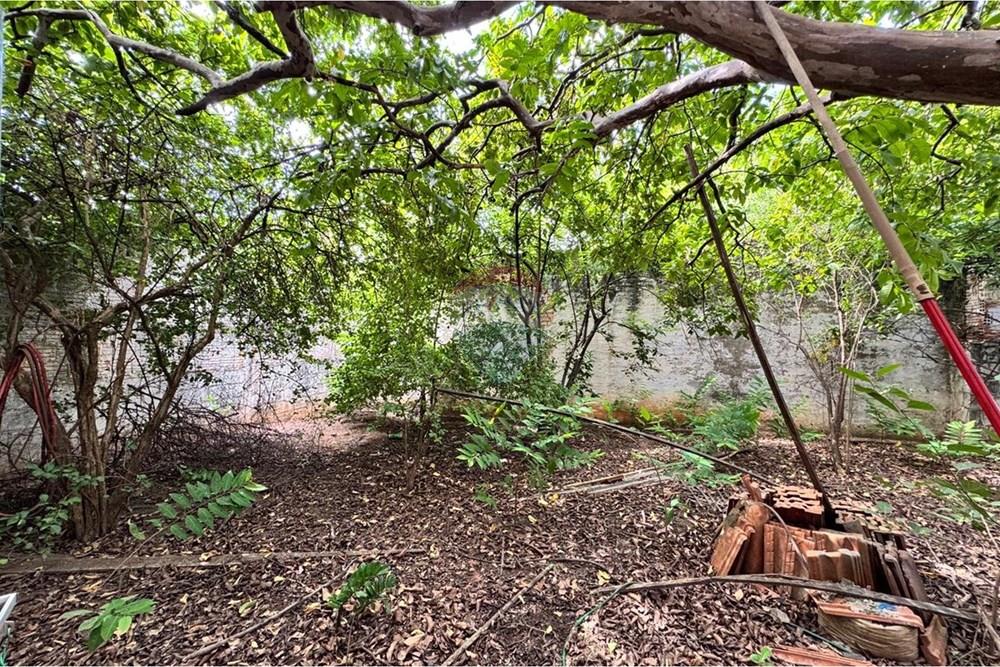 Casa - Venda - Araçatuba , São Paulo - WhatsApp Image 2026-01-22 at 10.24.47 (3).jpeg - 631721011-2