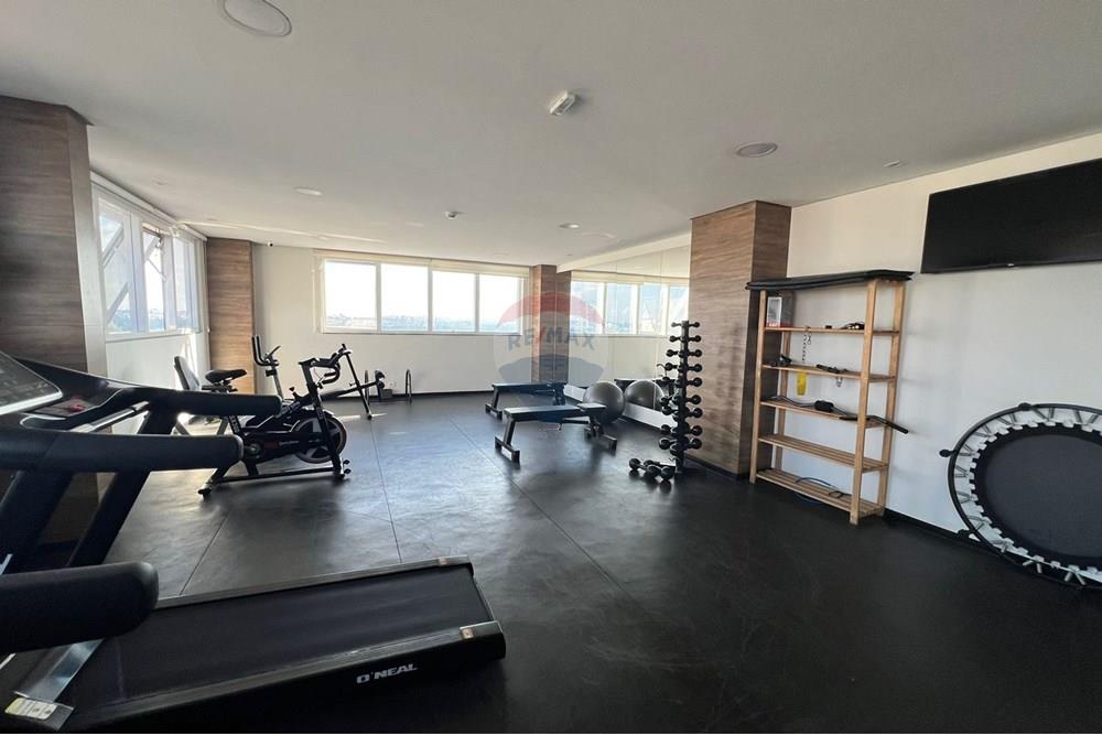 Studio - Alugar - Guarulhos , São Paulo - WhatsApp Image 2023-12-18 at 17.08.34.jpeg - 630251010-464