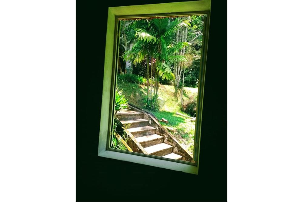 Chácara / Sítio / Fazenda - Venda - Engenheiro Paulo de Frontin , Rio de Janeiro - WhatsApp Image 2025-11-07 at 15.35.10.jpeg - 631411001-103