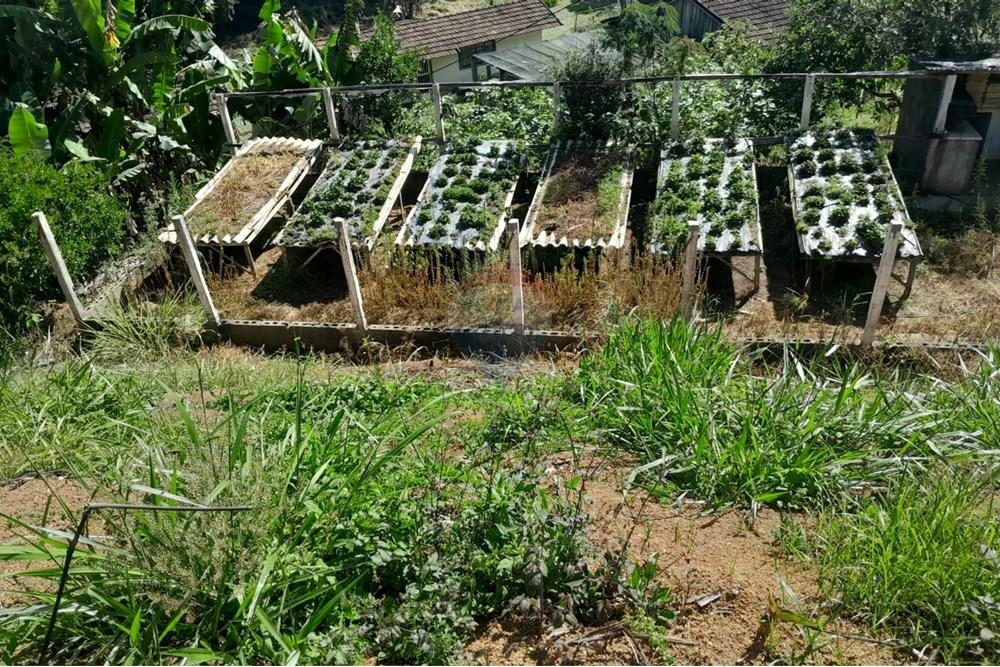 Chácara / Sítio / Fazenda - Venda - Bom Jardim , Rio de Janeiro - WhatsApp Image 2025-12-01 at 10.15.01.jpeg - 630171007-64