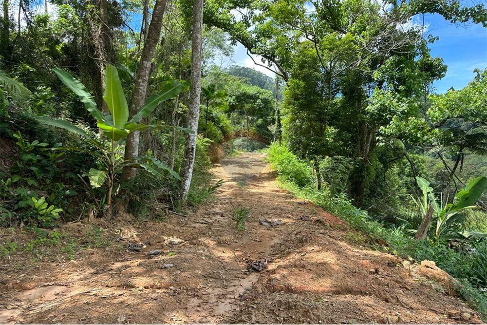 Residential - भूमि - Nova Friburgo , रिओ डे जैनेरो - BR - 9 - 630551016-143