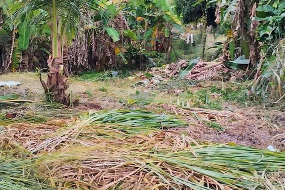 Terreno - Venda - Armação dos Búzios , Rio de Janeiro - WhatsApp Image 2025-05-29 at 13.32.04 (4).jpeg - 630391085-9