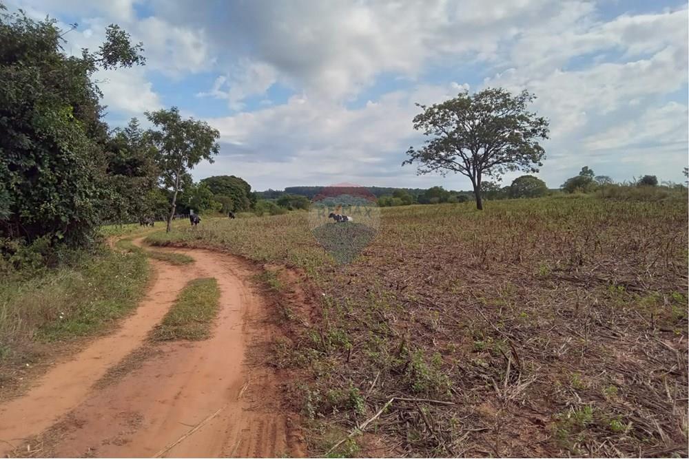 Terreno - Venda - Tupã , São Paulo - IMG-20250521-WA0011.jpg - 630151046-26