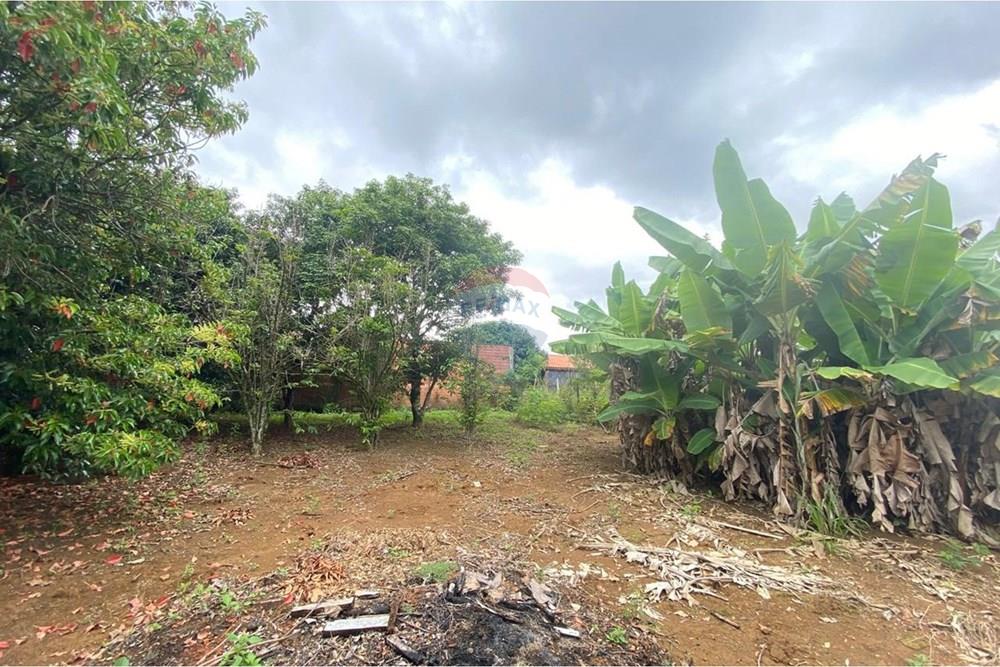 Chácara / Sítio / Fazenda - Venda - Salto de Pirapora , São Paulo - WhatsApp Image 2026-02-10 at 14.42.37 (21).jpeg - 631181052-222