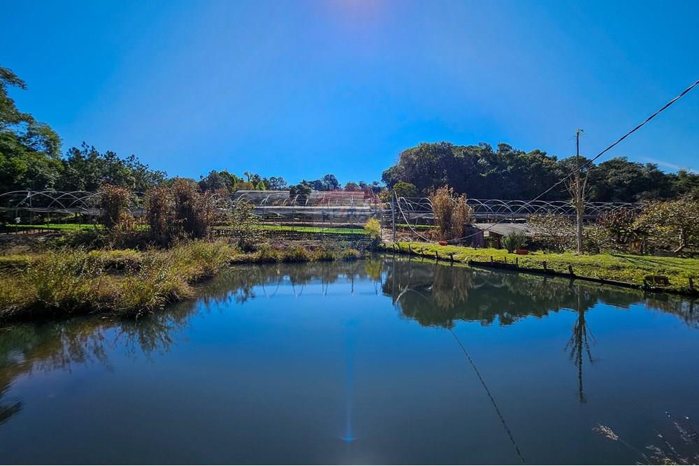 Fazenda - Venda - Botucatu , São Paulo - IMG-20250717-WA0038.jpg - 630111096-7