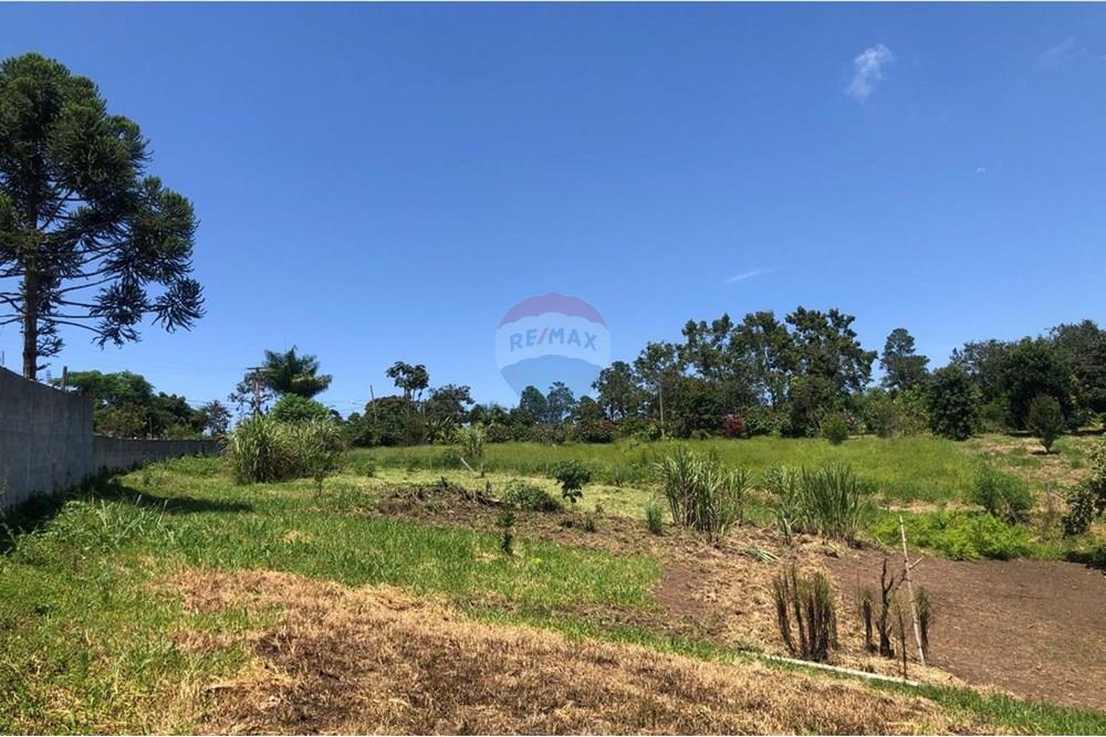 Chácara / Sítio / Fazenda - Venda - Santa Isabel , São Paulo - WhatsApp Image 2025-02-20 at 14.04.30 (4).jpeg - 631491020-25