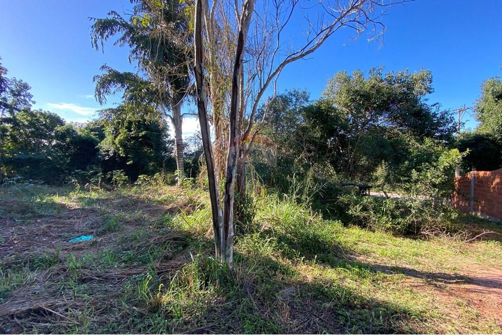 Terreno - Venda - Armação dos Búzios , Rio de Janeiro - WhatsApp Image 2025-07-08 at 11.28.43 (3).jpeg - 630391072-18