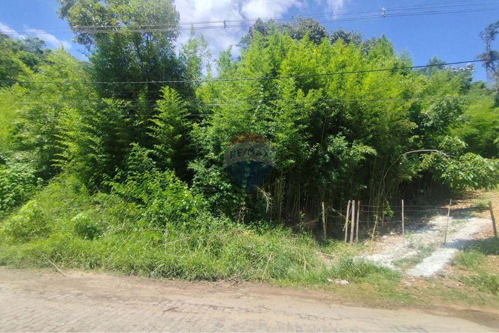Terreno - Venda - Teresópolis , Rio de Janeiro - WhatsApp Image 2026-02-05 at 09.36.12 (2).jpeg - 630191021-147