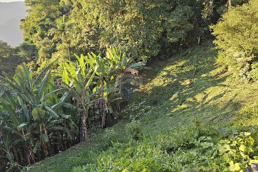 Casa - Venda - Petrópolis , Rio de Janeiro - 20260110_181740.jpg - 630131012-187