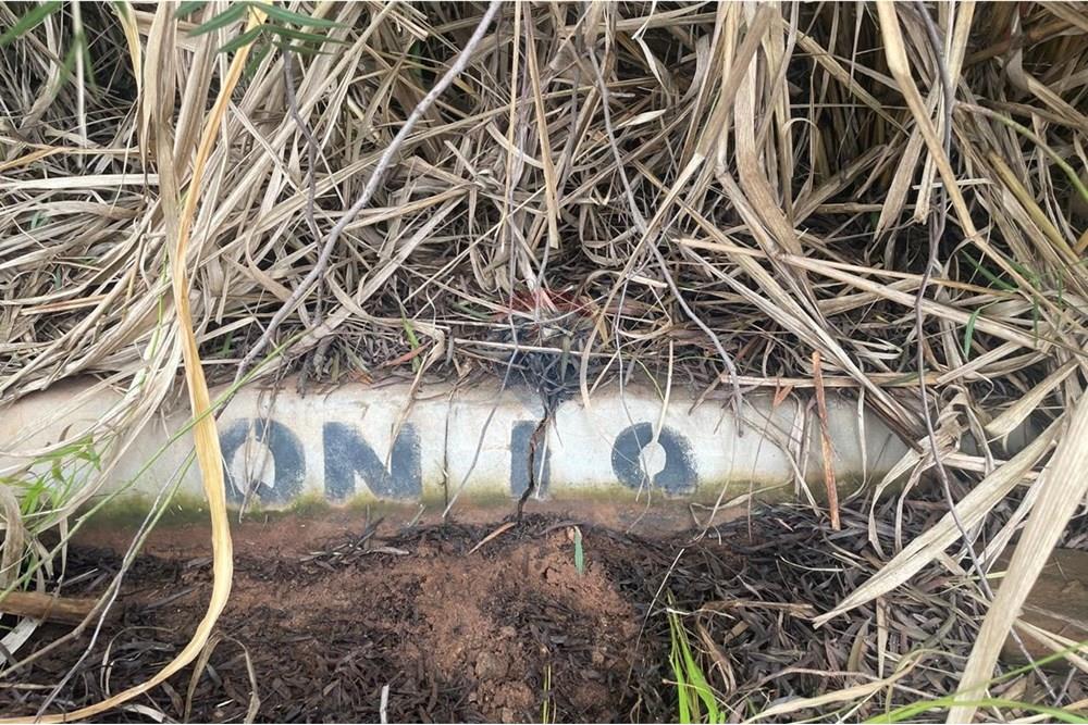 Terreno - Venda - Bady Bassitt , São Paulo - WhatsApp Image 2025-01-27 at 12.48.52 (10).jpeg - 631481002-88