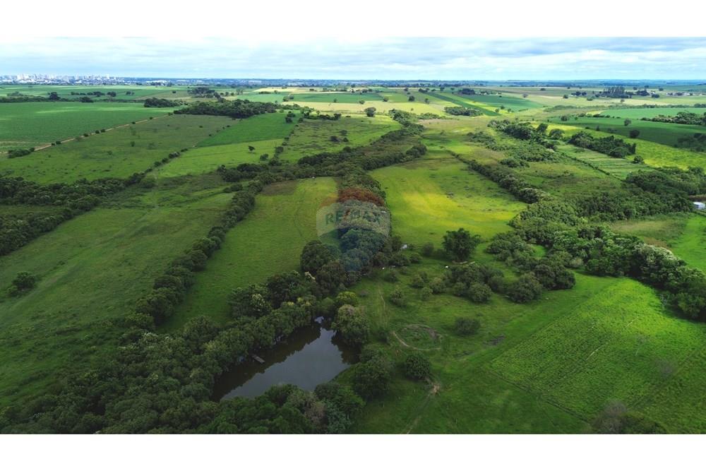 Chácara / Sítio / Fazenda - Venda - Birigui , São Paulo - 20260129_125724000_iOS.jpg - 630541040-79