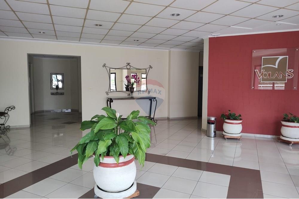 Apartamento - Alugar - Santo André , São Paulo - 4.jpeg - 631341001-264