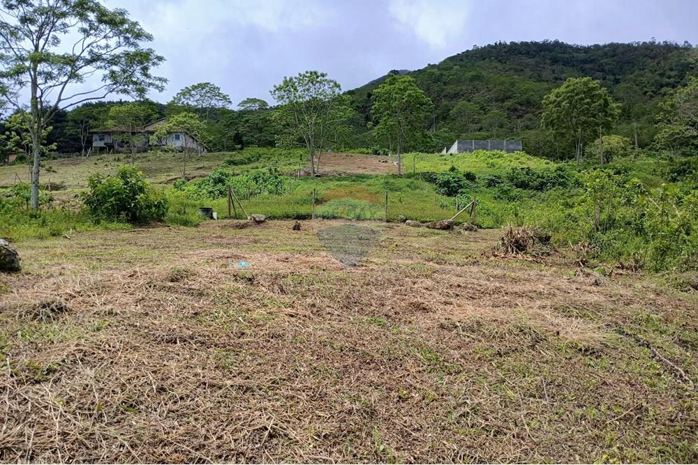 Terreno - Venda - Nova Friburgo , Rio de Janeiro - 20251125_102929.jpg - 630551084-30