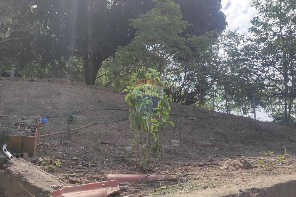 Terreno - Venda - Paraíba do Sul , Rio de Janeiro - IMG_20251106_135528.jpg - 631411001-102