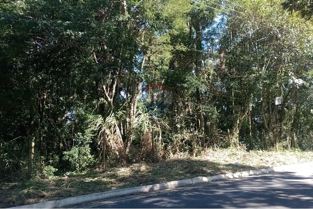 Terreno - Venda - São Roque , São Paulo - WhatsApp Image 2025-08-25 at 15.15.38.jpeg - 631601014-40