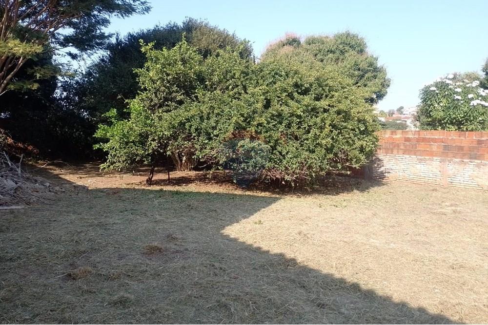 Terreno - Venda - Lins , São Paulo - WhatsApp Image 2025-06-20 at 11.50.56.jpeg - 630511048-20