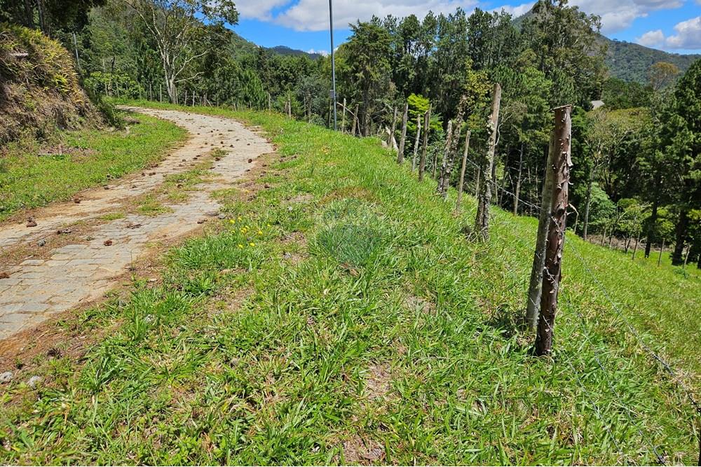 Terreno - Venda - Nova Friburgo , Rio de Janeiro - 20251111_103002.jpg - 630551024-83