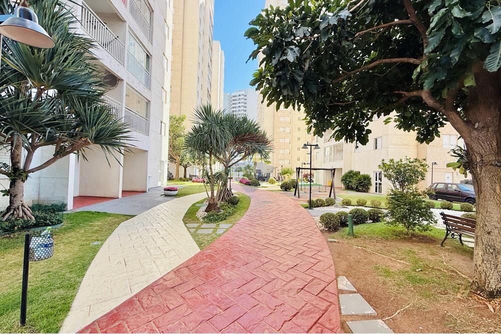 Apartamento - Alugar - Sorocaba , São Paulo - IMG_1423.JPG - 630591048-210