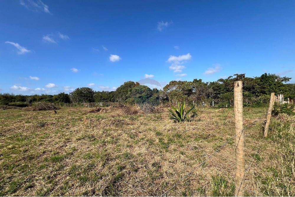 Terreno - Venda - Armação dos Búzios , Rio de Janeiro - IMG_3399.jpg - 630391090-13