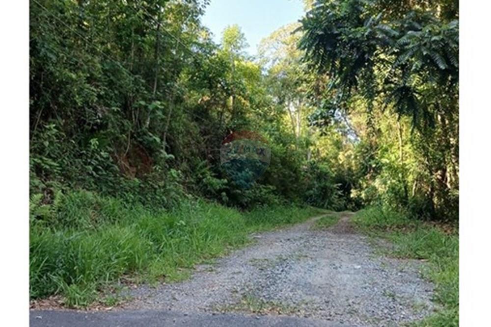 Terreno - Venda - Mairiporã , São Paulo - c3.jpg - 631361025-34