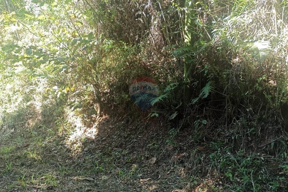 Terreno - Venda - Mairiporã , São Paulo - WhatsApp Image 2025-07-31 at 01.49.03.jpeg - 631361025-34