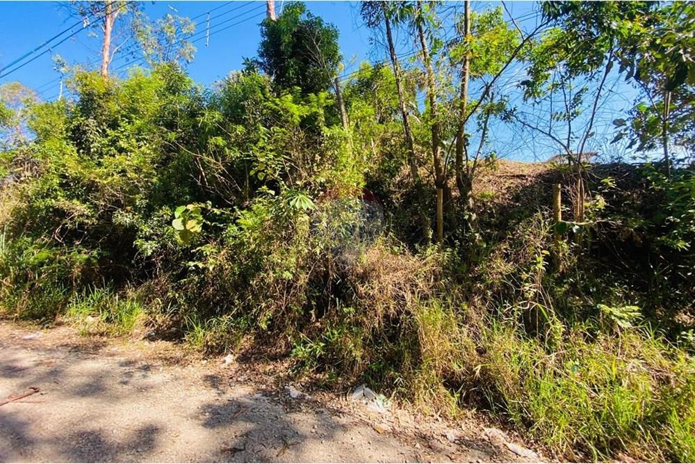 Terreno - Venda - Mairiporã , São Paulo - WhatsApp Image 2025-11-11 at 11.06.07.jpeg - 631361041-42