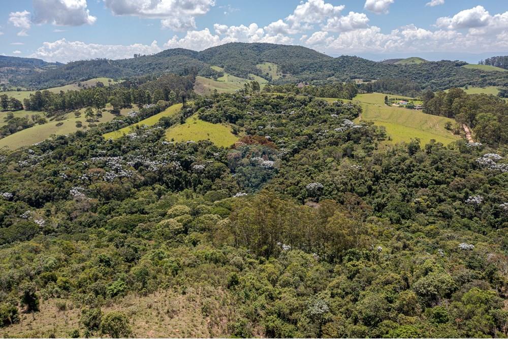 Chácara / Sítio / Fazenda - Venda - Guaratinguetá , São Paulo - FazendaITAJIBA-26.jpg - 630961014-63