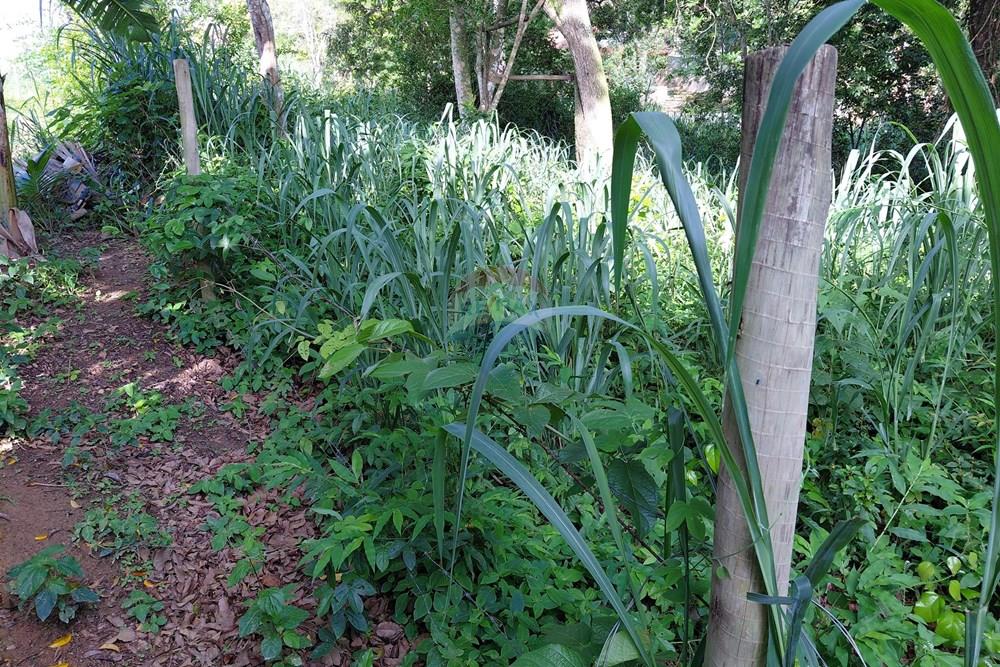 Terreno - Venda - Armação dos Búzios , Rio de Janeiro - 20260206_163826.jpg - 630391071-28